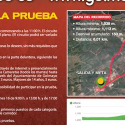 CARTEL VIII CARRERA POPULAR.jpg