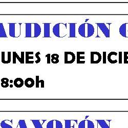 audiciones 2017.jpg